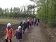 Całe przedszkole w lesie